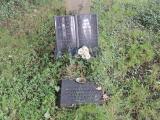 image of grave number 597849
